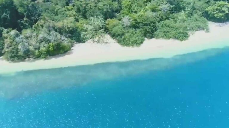 wisata pulau sempu sapta pesona transport