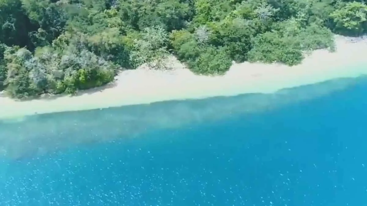 wisata pulau sempu sapta pesona transport