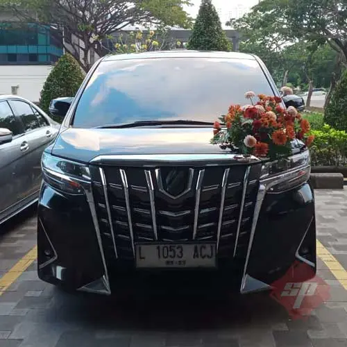 sewa toyota new alphard surabaya